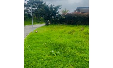 Lote en Venta en Medellín Alto de Palmas