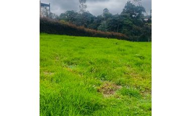 Lote en Venta en Medellín Alto de Palmas