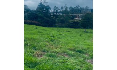 Lote en Venta en Medellín Alto de Palmas