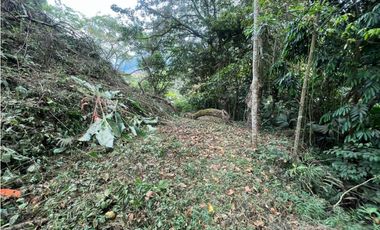 Lote Comercial Alta Mixtura sobre la Vía Principal