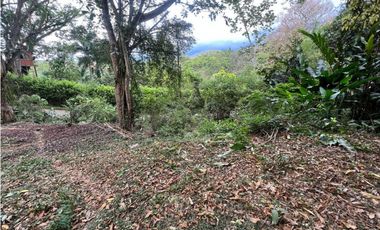 Lote Comercial Alta Mixtura sobre la Vía Principal