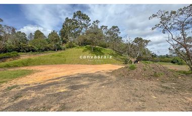 Venta de Lote Vía Aeropuerto - Autopista