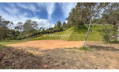 Venta de Lote Vía Aeropuerto - Autopista