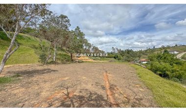 Venta de Lote Vía Aeropuerto - Autopista