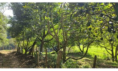 vendo finca en Medellín, corregimiento san Cristóbal  7 cuadras CH