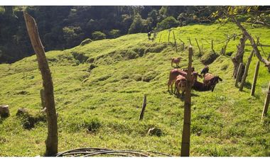 vendo finca en Medellín, corregimiento san Cristóbal  7 cuadras CH