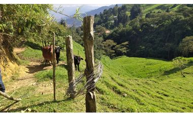 vendo finca en Medellín, corregimiento san Cristóbal  7 cuadras CH