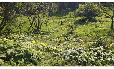 vendo finca en Medellín, corregimiento san Cristóbal  7 cuadras CH