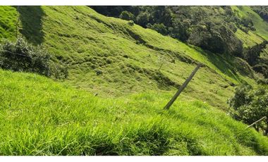 vendo finca en Medellín, corregimiento san Cristóbal  7 cuadras CH