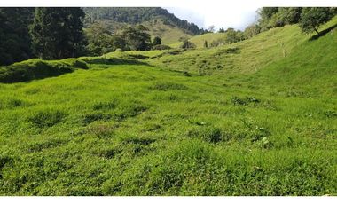 vendo finca en Medellín, corregimiento san Cristóbal  7 cuadras CH
