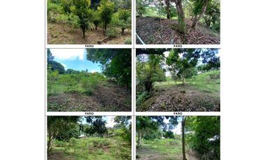 VENDO TERRENO CON CASA EN CHAME