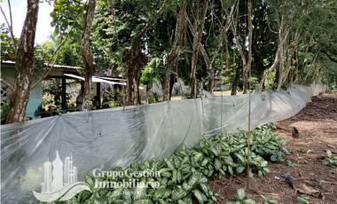 Venta Finca 1.3 Hectareas Gomez, Chiriqui