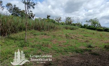 Venta Finca 1.3 Hectareas Gomez, Chiriqui