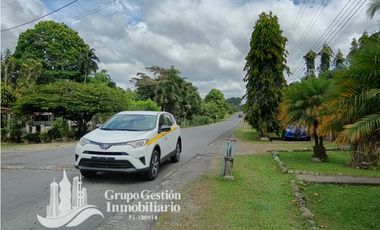 Venta Finca 1.3 Hectareas Gomez, Chiriqui