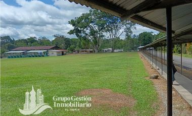 Venta Finca 1.3 Hectareas Gomez, Chiriqui