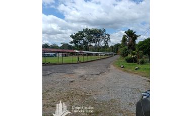 Venta Finca 1.3 Hectareas Gomez, Chiriqui