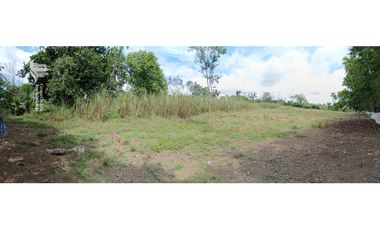 Venta Finca 1.3 Hectareas Gomez, Chiriqui