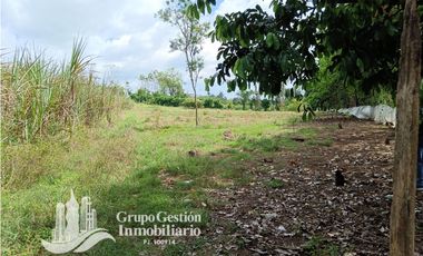 Venta Finca 1.3 Hectareas Gomez, Chiriqui