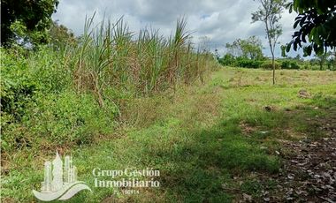 Venta Finca 1.3 Hectareas Gomez, Chiriqui