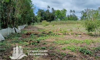 Venta Finca 1.3 Hectareas Gomez, Chiriqui