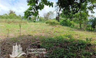 Venta Finca 1.3 Hectareas Gomez, Chiriqui