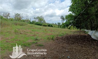Venta Finca 1.3 Hectareas Gomez, Chiriqui