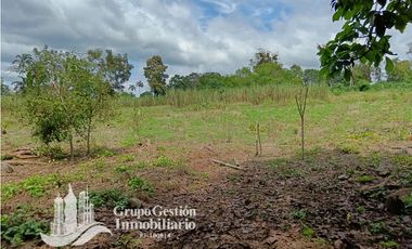 Venta Finca 1.3 Hectareas Gomez, Chiriqui