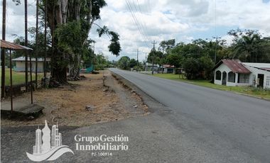 Venta Finca 1.3 Hectareas Gomez, Chiriqui