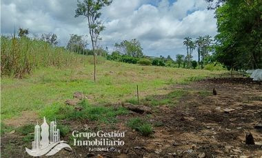Venta Finca 1.3 Hectareas Gomez, Chiriqui