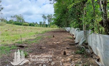 Venta Finca 1.3 Hectareas Gomez, Chiriqui