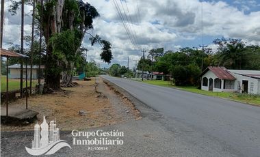 Venta Finca 1.3 Hectareas Gomez, Chiriqui