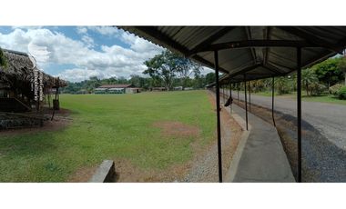 Venta Finca 1.3 Hectareas Gomez, Chiriqui