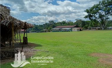 Venta Finca 1.3 Hectareas Gomez, Chiriqui