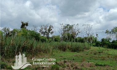 Venta Finca 1.3 Hectareas Gomez, Chiriqui