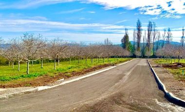 Terreno Construccion  en Venta en Camino la guardia