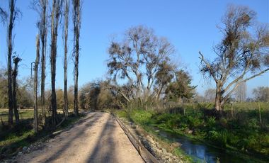Terreno Construccion  en Venta en alto linares 2