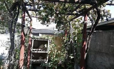 Casa en Arriendo en Pje Domeyko/ Av, Presidente Balmaceda