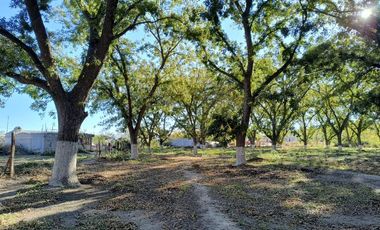 TERRENO EN VENTA EN EL PUEBLO MÁGICO PARRAS DE LA FUENTE COAHUILA