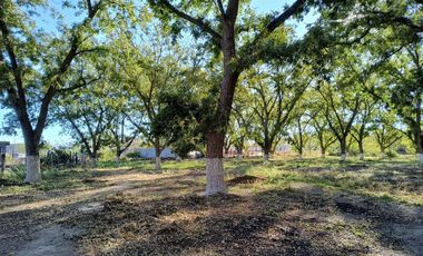 TERRENO EN VENTA EN EL PUEBLO MÁGICO PARRAS DE LA FUENTE COAHUILA