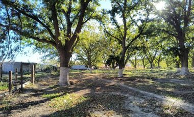 TERRENO EN VENTA EN EL PUEBLO MÁGICO PARRAS DE LA FUENTE COAHUILA