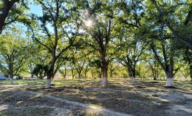 TERRENO EN VENTA EN EL PUEBLO MÁGICO PARRAS DE LA FUENTE COAHUILA