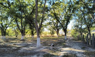 TERRENO EN VENTA EN EL PUEBLO MÁGICO PARRAS DE LA FUENTE COAHUILA