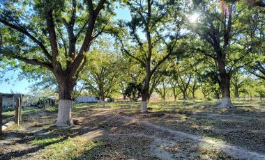 TERRENO EN VENTA EN EL PUEBLO MÁGICO PARRAS DE LA FUENTE COAHUILA