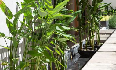 Departamento 3 ambientes en venta en Caballito - Full amenities - Donna Acqua
