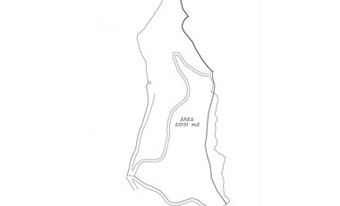 Venta de Lote V San José, San Vicente Ferrer con siembre aguacate Hass