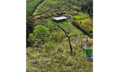 Venta de Lote V San José, San Vicente Ferrer con siembre aguacate Hass