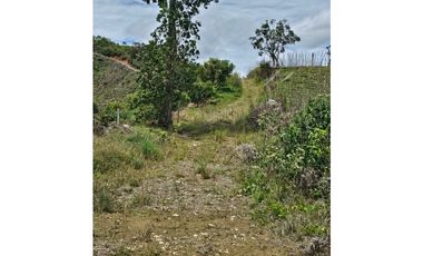 Venta de Lote V San José, San Vicente Ferrer con siembre aguacate Hass