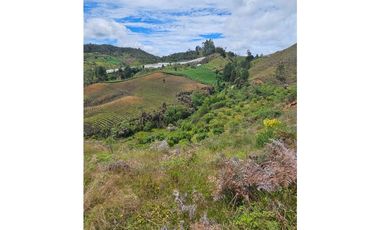 Venta de Lote V San José, San Vicente Ferrer con siembre aguacate Hass