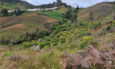 Venta de Lote V San José, San Vicente Ferrer con siembre aguacate Hass