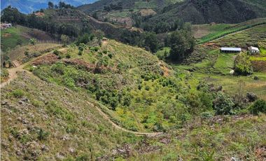 Venta de Lote V San José, San Vicente Ferrer con siembre aguacate Hass